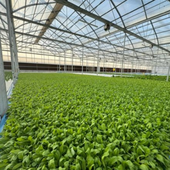 While April 22nd is the day we honor our planet, the Andrew Young Foundation is committed to making every day Earth Day.